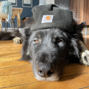 Team Page: Billie's Babies